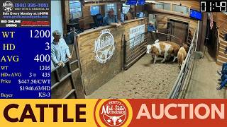 Central Arkansas Auction Leader: Live at Pruitt’s Mid-State Stockyards | March 16, 2026