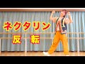 【ネクタリン ダンス】反転 [天てれ] テーマソングMV『ネクタリン』マカロニえんぴつ×yurinasia×てれび戦士 | 23年度版【天才てれびくん】| NHK