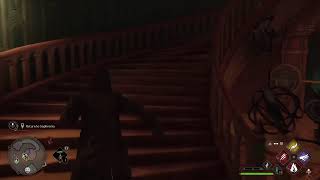 Hogwarts Legacy Dark Lord Rising (4K 60FPS VRR 120hz)