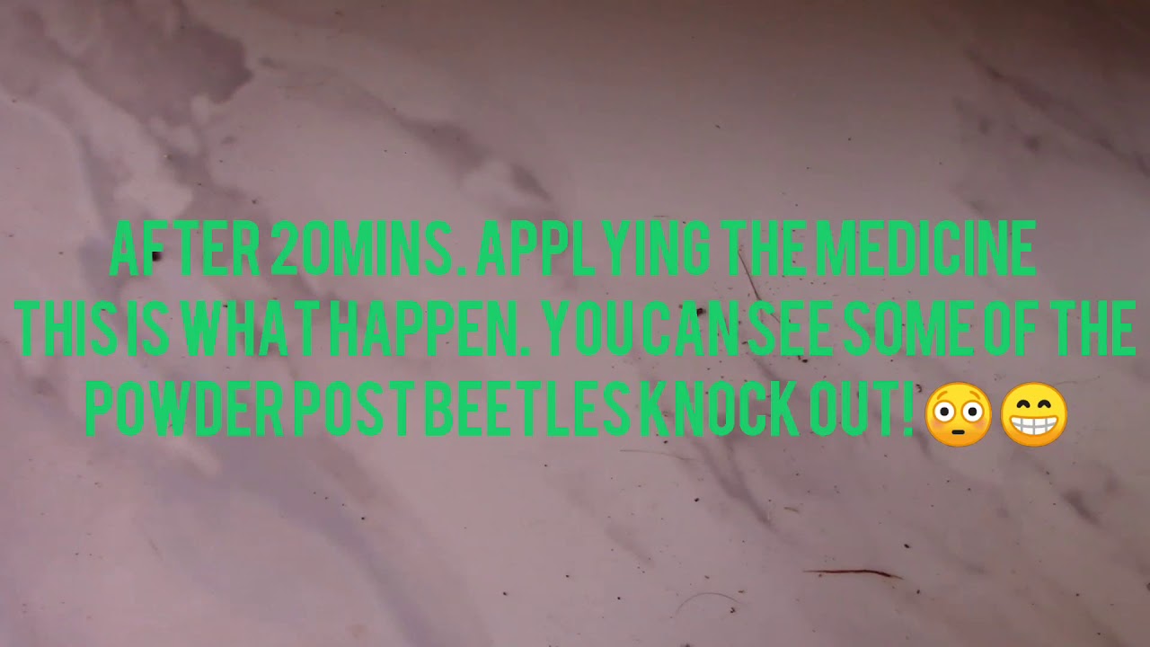 Revarnish Rattan Bamboo Sofa Wood Preservative kill the Powderpost