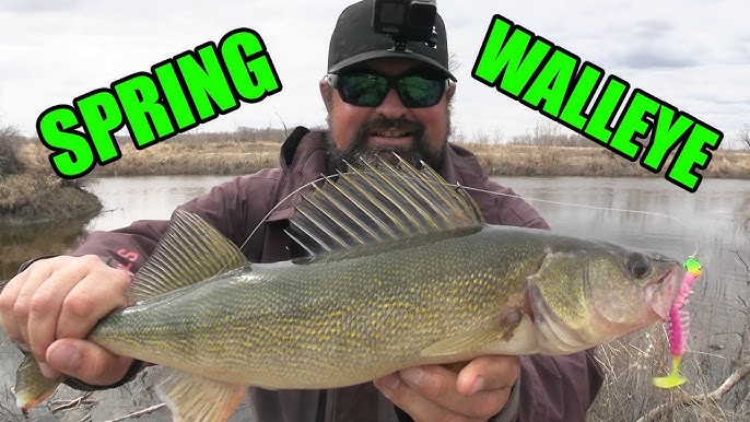 3 FOOLPROOF Methods For Catching Shallow Walleyes! 