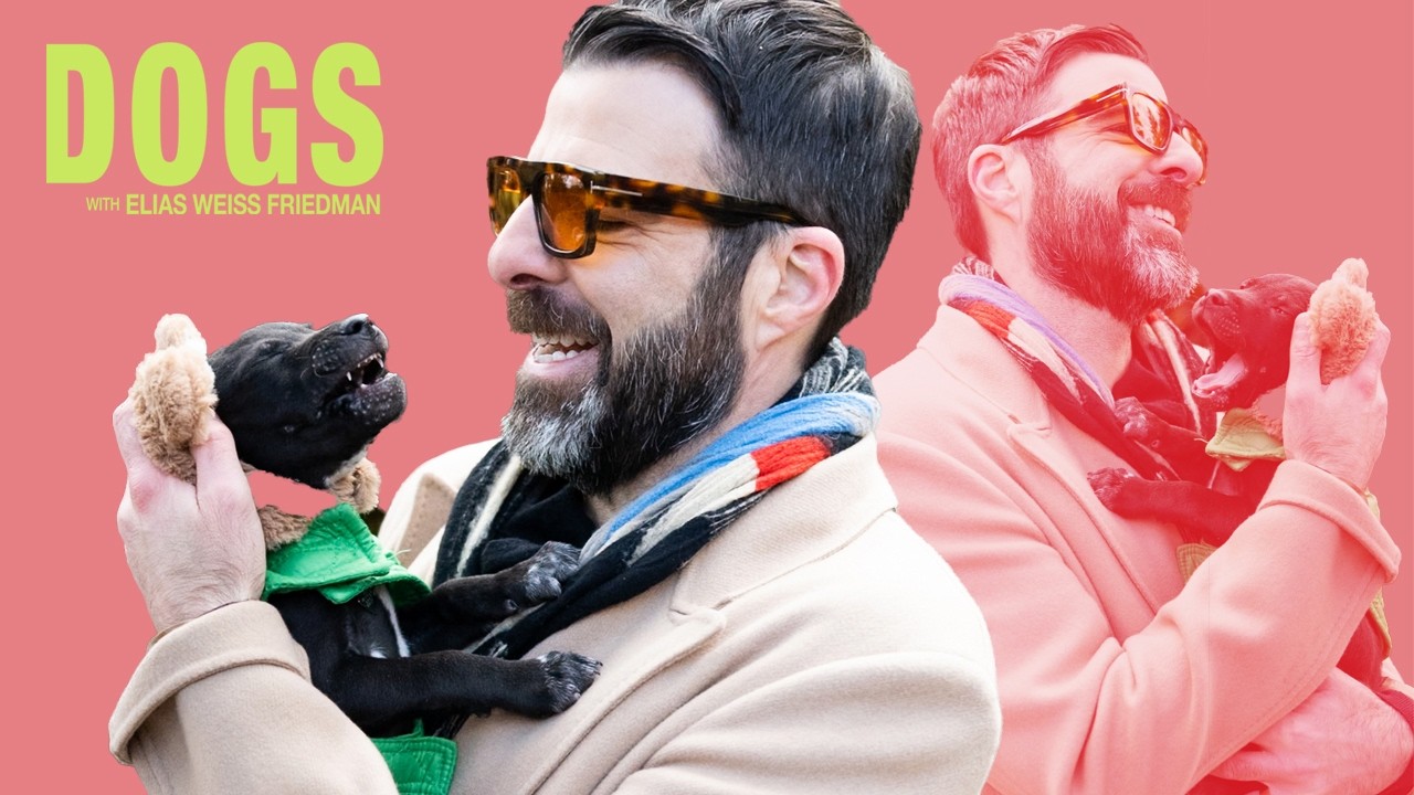 Zachary Quinto is "Lowkey Obsessed" with Dogs (Brilliant Minds Star Meets NYC Puppies)