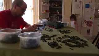 Halo Elephant -- Time Lapse Build