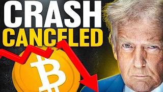 The Bitcoin Crash They Promised Isn’t Coming Net Worth