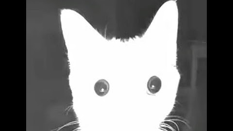 𝙄𝙣𝙘𝙤𝙢𝙥𝙧𝙚𝙝𝙚𝙣𝙨𝙞𝙗𝙡𝙚​ - Daniel Fantrack [LOUD/SPAM]