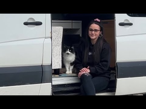 Josie May Have Unexpected Guest Leading to Mini Cornwall Road Trip with Cat,Echo // Vanilla Vanlife Josie May Have Unexpected Guest Leading to Mini Cornwall Road Trip with Cat,Echo // Vanilla Vanlife