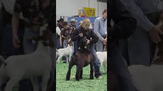 Görmezden Gelemeyeceğiniz Bakış 😭