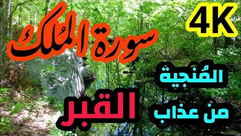 سورة الملك تلاوة نادرة للشيخ العفاسي