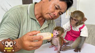 The process of YiYi asking grandpa take care of baby monkey