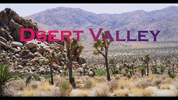 Free Stock Footage-Joshua Trees Plantation In A Desert Valley