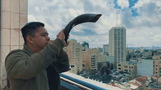 SHOFAR in Jerusalem | Ancient music horn | Jewish