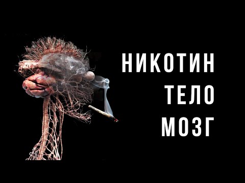 Как НИКОТИН и КУРЕНИЕ влияют на здоровье, мозг и поведение - YouTube
