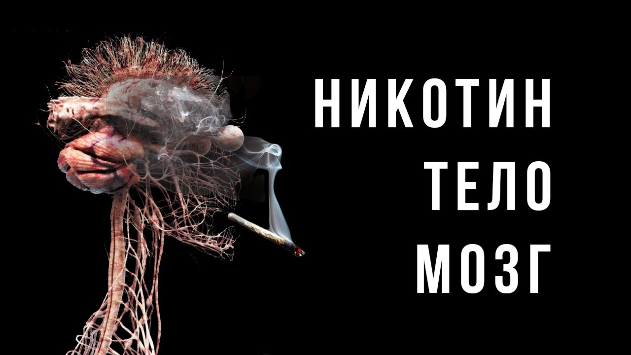Как НИКОТИН и КУРЕНИЕ влияют на здоровье, мозг и поведение