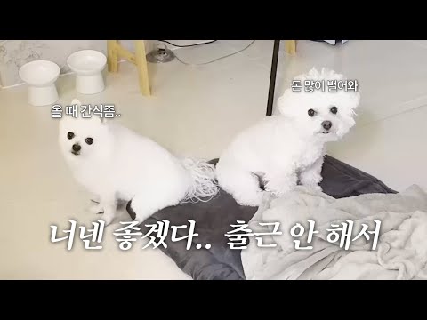 좋겠다 너네는