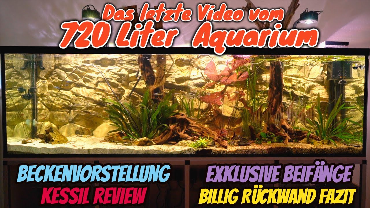 Das letzte Video vom 720 Liter Amazonas Aquarium |Beckenvorstellung | Fazit Billig-Rückwand
