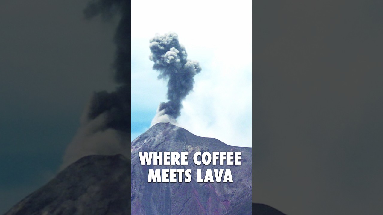 Volcanic Soil Makes This Coffee Taste Better #nationalcoffeeday