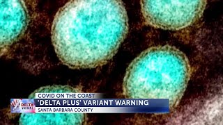 COVID-19 Delta variant mutates to Delta Plus as California reopens LIVE VOSOT