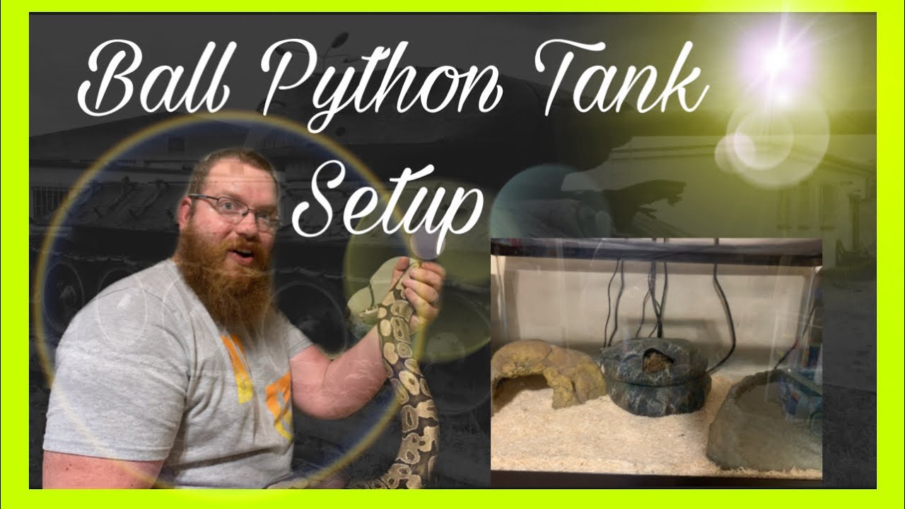 Ball Python tank setup - YouTube