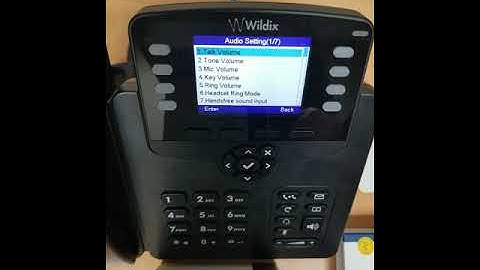 Wildix WP480 Display Transfer and Hold