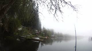 Yaay A Nice Good Trout