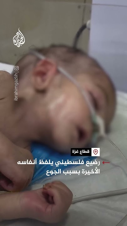  |       
 - نشر قبل 31 دقيقة