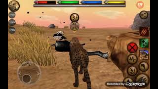 Ultimate Cheetah 🐆 Simulator APK #Happymod# MOD Gameplay screenshot 2