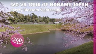 Japan Hanami tour in 360 – Cherry Blossom Sightseeing | Paracosma