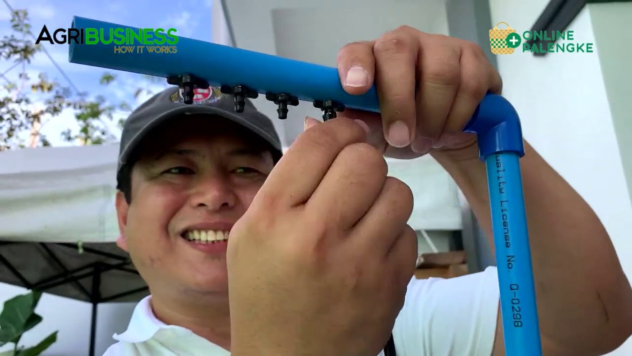 Hydroponics / NFT DIY in the Philippines. All Secrets Revealed