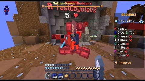 I reset my stats in Nethergames