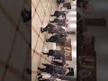 فرقه الشعراويه للدبكات الشعبيه فرقه الشعراويه للدبكات الشعبيه