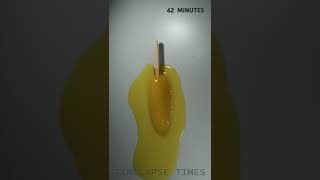 Popsicle Time Lapse Popsicle Melting Time Lapse
