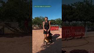 K9 Handler, Defence Of The Handler In Mondioring