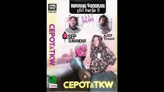 [AUDIO] Wayang Bodoran - Cepot Dan TKW