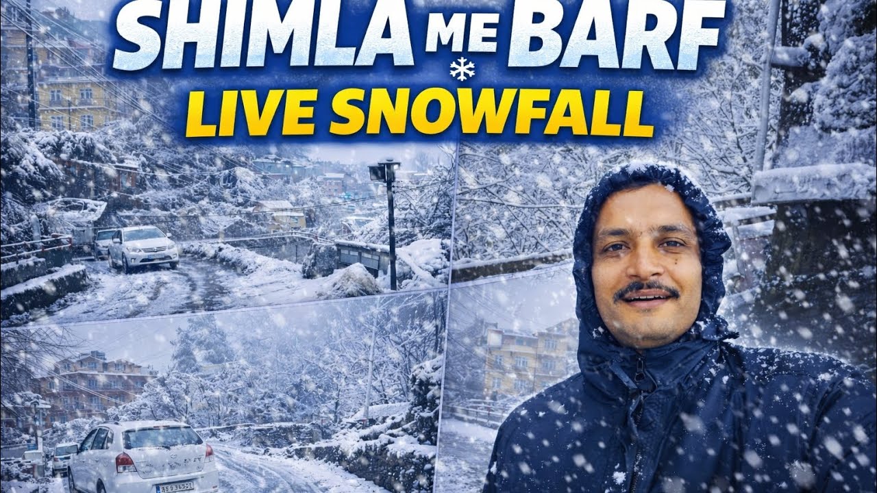 First Snowfall in Shimla ❄️ | Amazing Winter Views