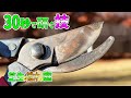 【剪定鋏】もう、研ぎ方のうんちくは要りません！鋏は30秒で研ぐ！