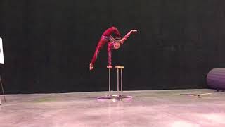 mongolian solo contortionist Misheel