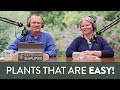 Easy to grow plants  90