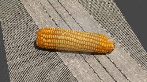 Agisoft Metashape 3D Model of Corn