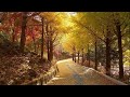 [스페샬] 신승훈 - Loving you House kpop 韓國歌謠