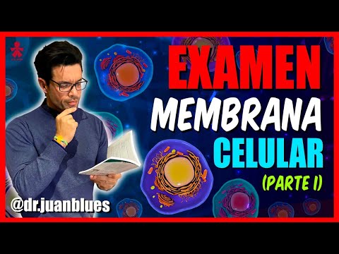 Video: ¿Cuál es otro nombre para el cuestionario de la membrana celular?