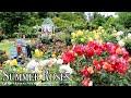 Summer Roses of Keisei Rose Garden 2022 | #4k #京成バラ園 #rose | Explore Japan