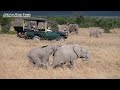 Beyond the Mara: 5 Secret Private Conservancies for Your 2026 Safari!
