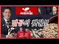 멸공의횃불 같은노래 다른느낌 멸공의횃불 같은노래 다른느낌
