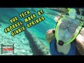 Vue Tech Snorkel Mask  At Ginnie Springs