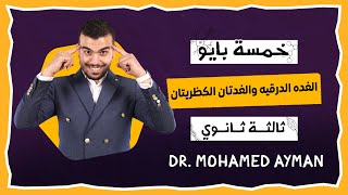 خمسه بيو🥼☘️-7- الغده الدرقيه والغدتان الكظريتان✅