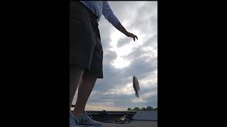 Crappie Time. #fishing #summer #crappiefishing #panfish #rippinlips