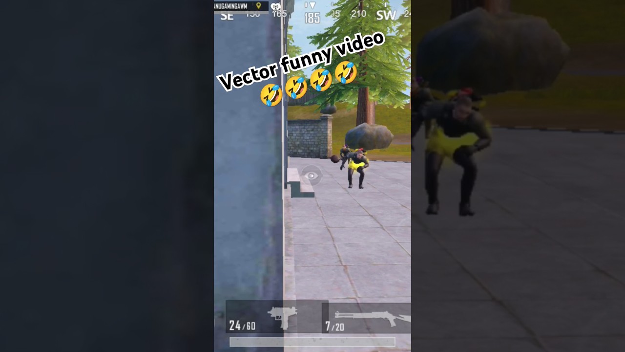 #vectorfunnyvideo