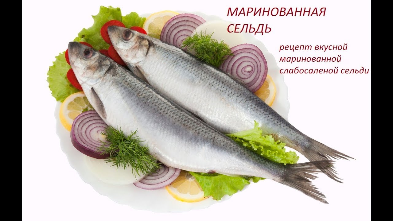 Вкуснейшая малосольная сельдь в домашних условиях