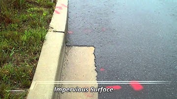 Impervious versus Permeable Pavement
