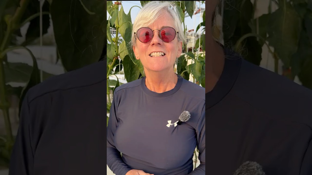 This Pruning Hack Saved My Pepper Harvest #farming #tips